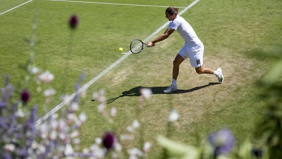 Alexander Zverev in Wimbledon: Auf ein enttäuschendes Aus folgt sehr offene Kommunikation Alexander Zverev in Wimbledon: Auf ein enttäuschendes Aus folgt sehr offene Kommunikation