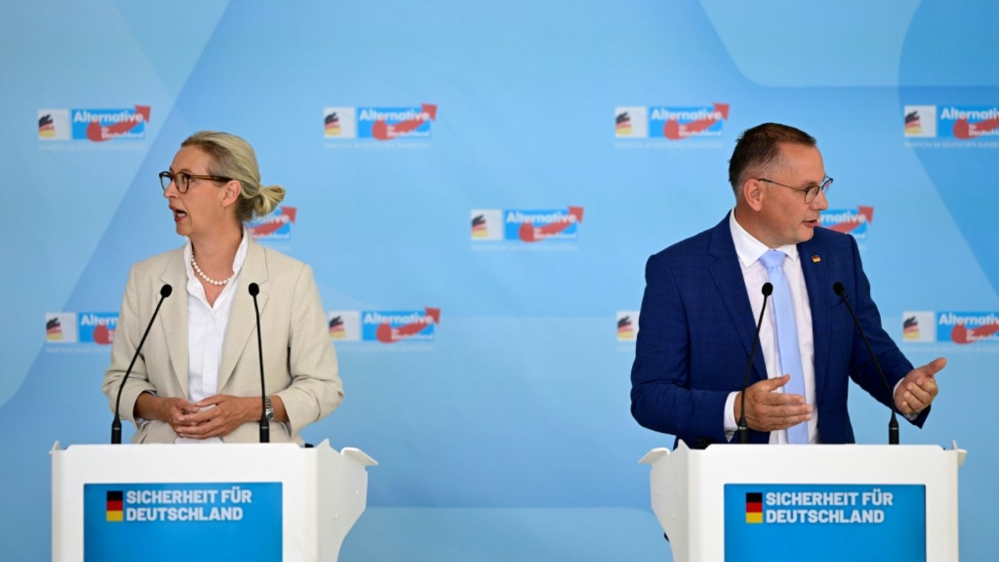 AfD-Fraktionsvorsitzende Weidel und Chrupalla