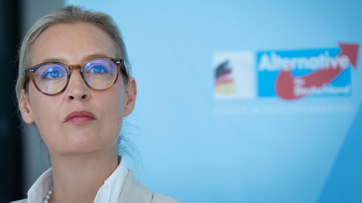 AfD-Chefin Alice Weidel