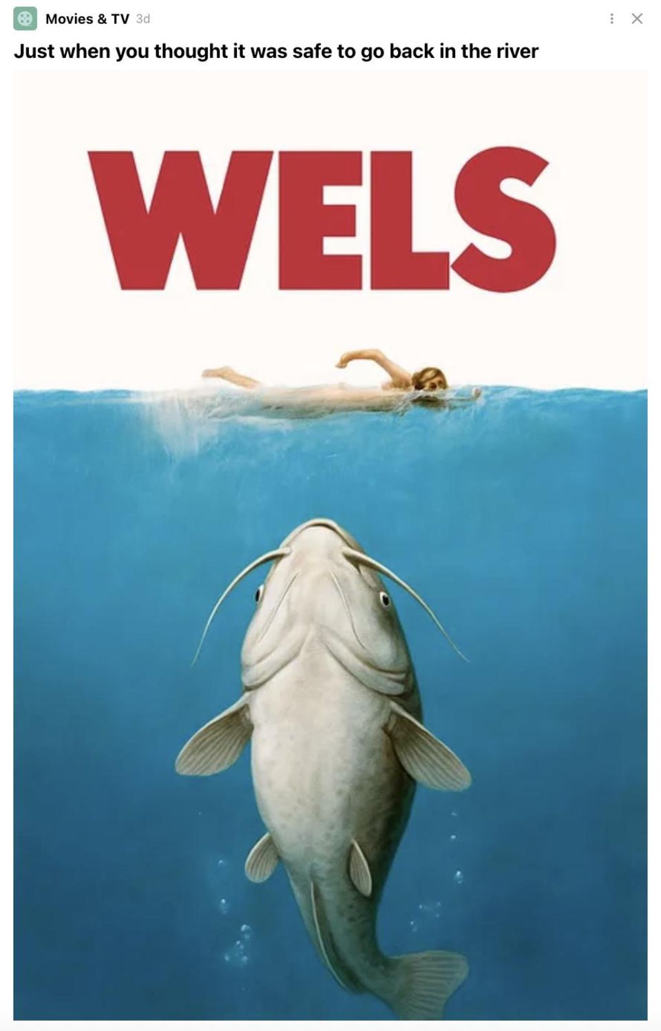 Lustige Memes: Jetzt greift der Wels die Lachmuskeln an