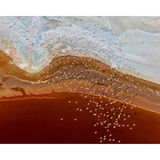 Flamingos über den kenianischen Magadisee