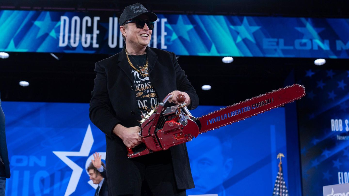 Elon Musk founds a new party. What others are there in the United States?