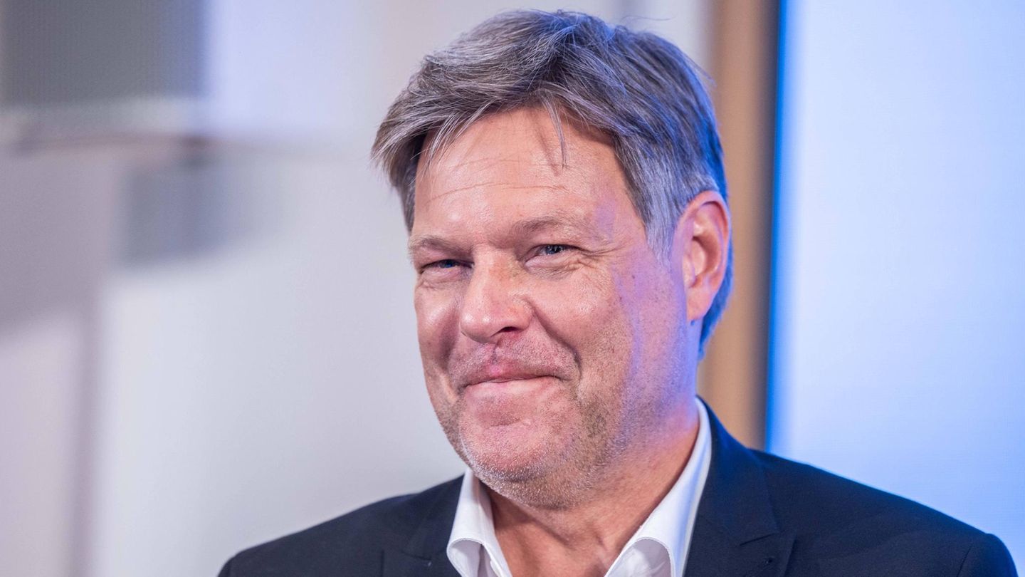 Personneles: Habeck wants to become a visiting professor abroad
