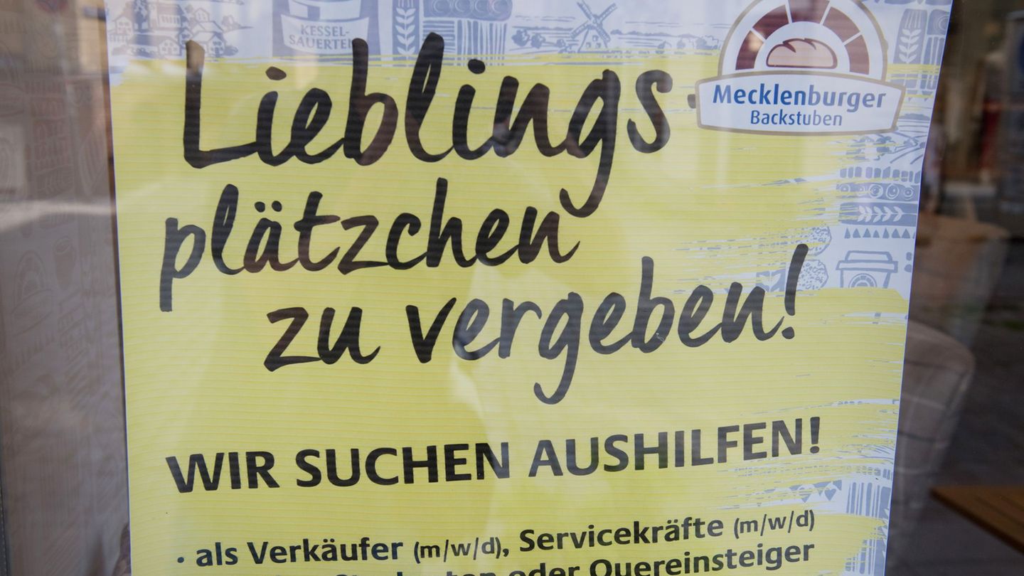 Additional services as an incentive: with which employers attract in job advertisements