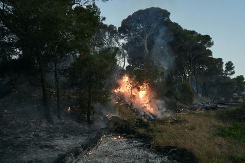 Waldbrand bei Narbonne