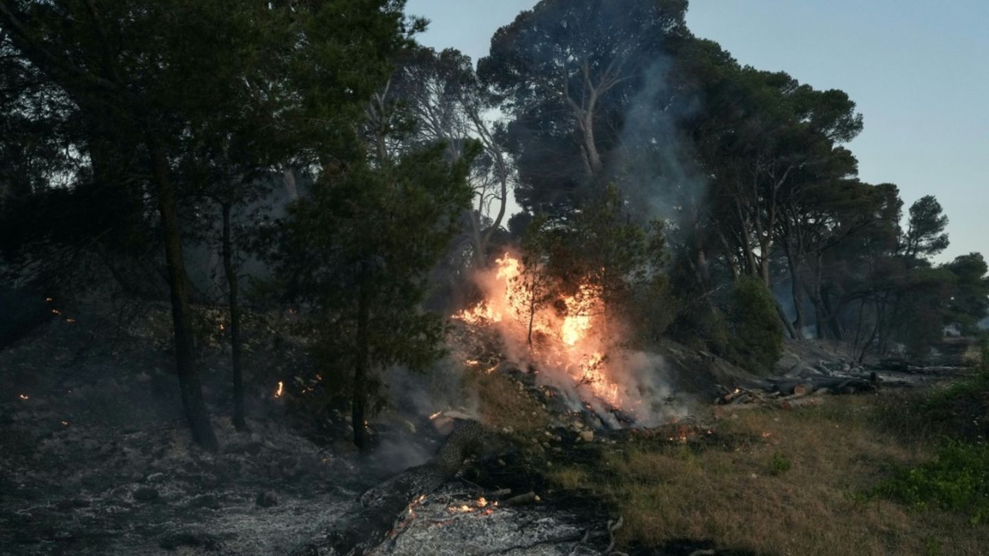 Waldbrand bei Narbonne
