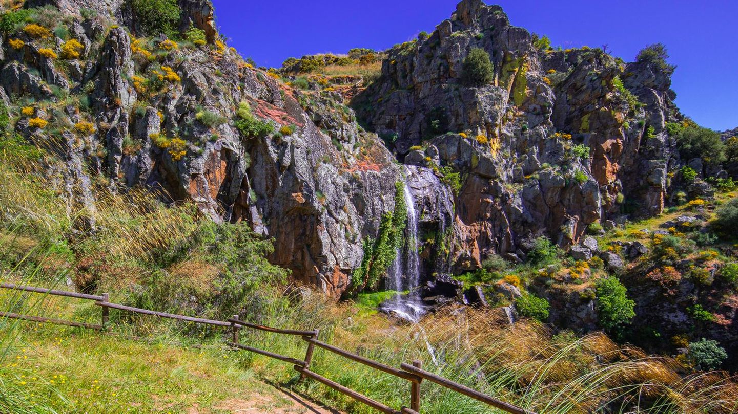 Faia da Água Alta, Portugal