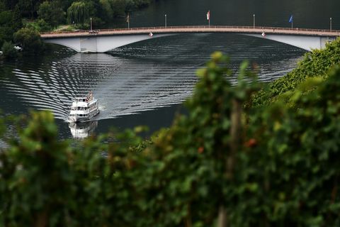 Weinberg an der Mosel
