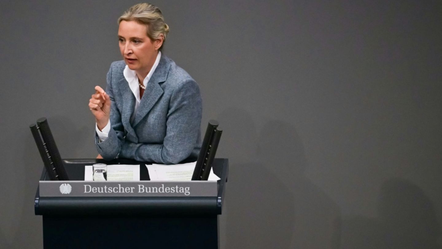 Alice Weidel im Bundestag (Archiv)