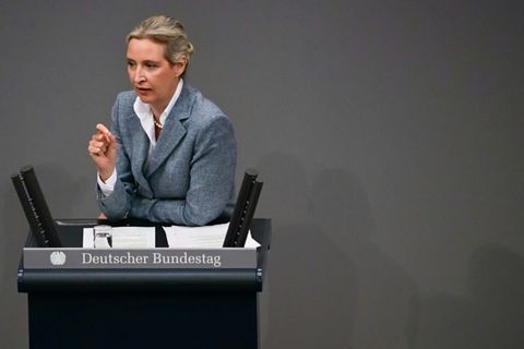 Alice Weidel im Bundestag (Archiv)