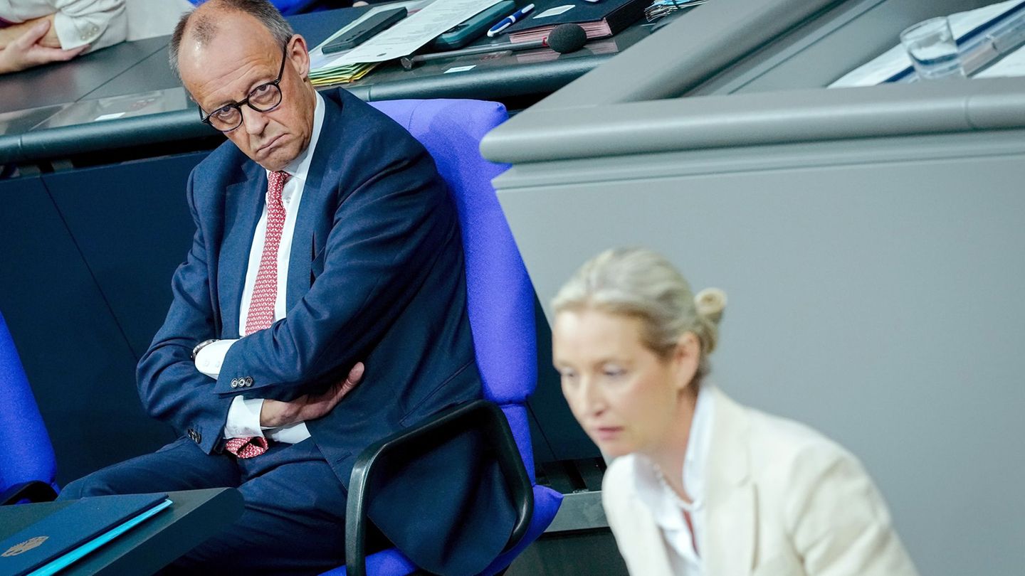 General debate in the Bundestag: “Lubrication Salvation”: Merz defends himself against Weidel’s lies