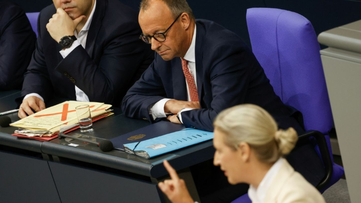 Merz und Vize-Kanzler Klingbeil während Weidel-Rede