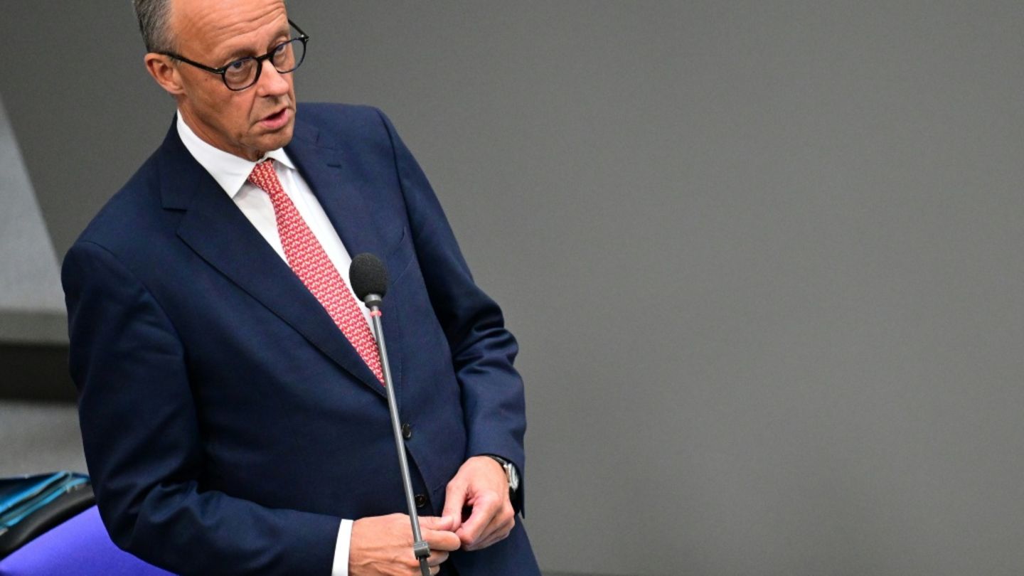 Friedrich Merz bei der Regierungsbefragung