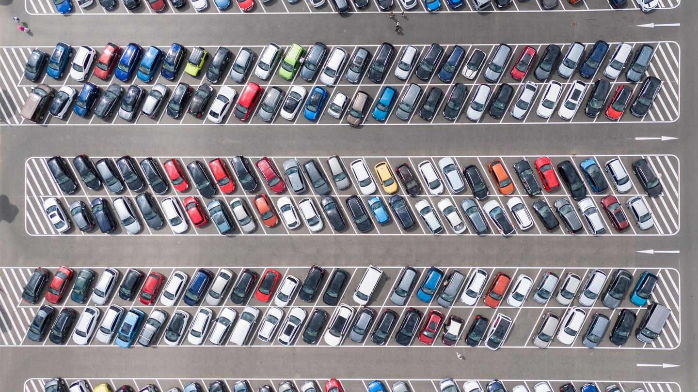 After years of loss: car insurers could return to profit zone in 2025