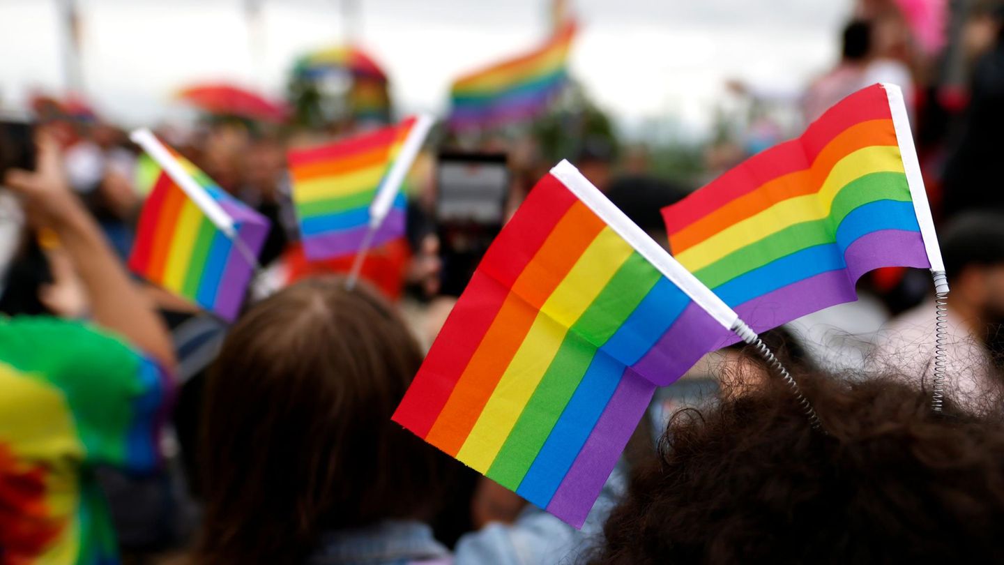 Bundestag: MPs are supposed to remove rainbow flags from offices