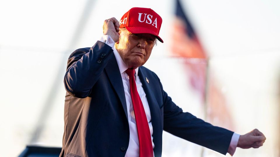 Kanada-Gans unter Druck: Trump fügt Zölle auf Metalle und Fahrzeuge hinzu