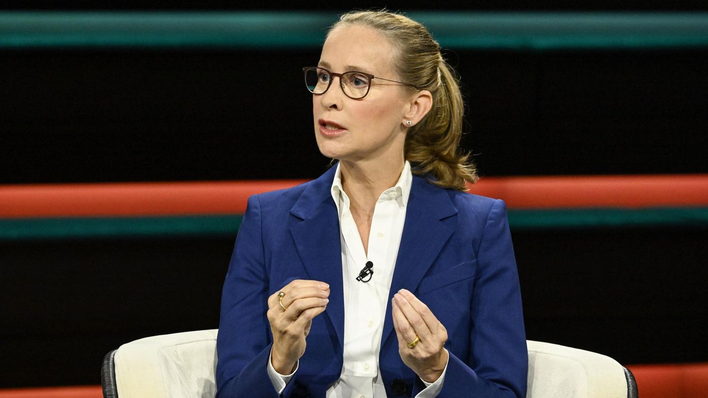 Frauke Brosius-Gersdorf wants to comment on plagiarism allegations