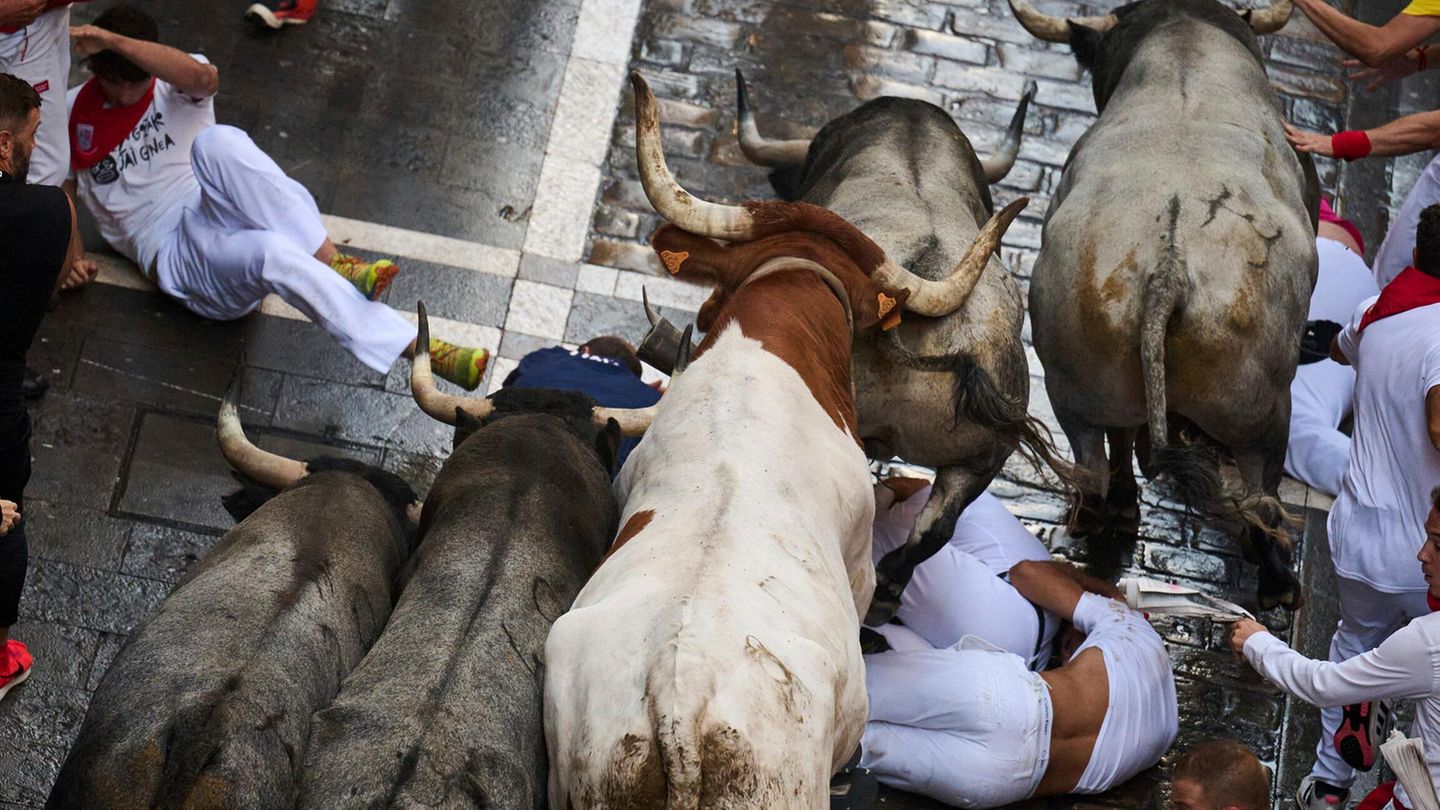 12. Juli: Kräftemessen mit Stieren Pamplona, Spanien. Wie jeden Juli wird wieder das Sanfermín-Fest gefeiert. Im Zuge der Feierlichkeiten werden täglich Kampfbullen und Leitochsen durch die engen Gassen der Altstadt bis in die Arena gejagt. Dabei werden immer wieder Menschen verletzt. Seit 1924 gab es 16 Todesopfer, das letzte 2009. Die "Sanfermines" sind dem Stadtheiligen San Fermín gewidmet und werden in der 200.000-Einwohner-Stadt der Region Navarra bereits seit Ende des 16. Jahrhunderts immer in der ersten Juli-Hälfte gefeiert