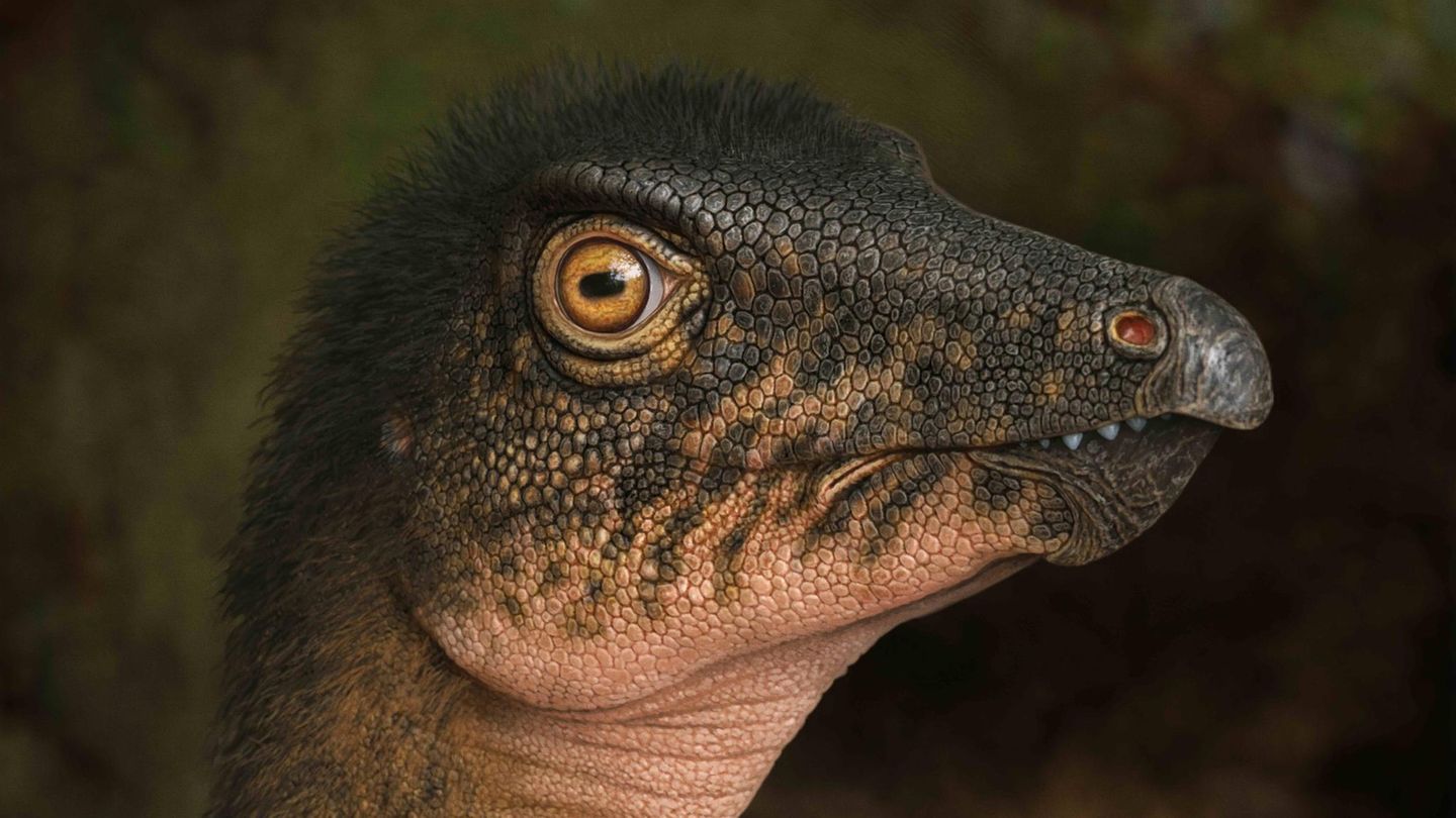 So ungefähr sollen Dinosaurier der Gattung Thescelosaurus ausgesehen haben
