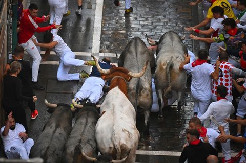Stierhatz von Pamplona