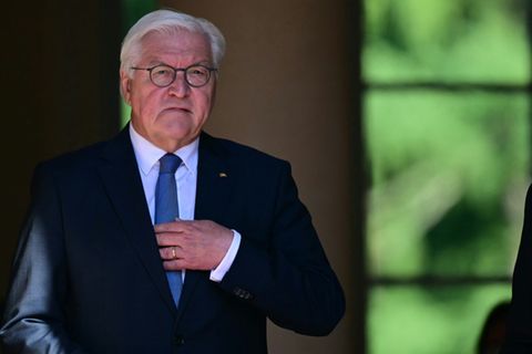 Bundespräsident Steinmeier