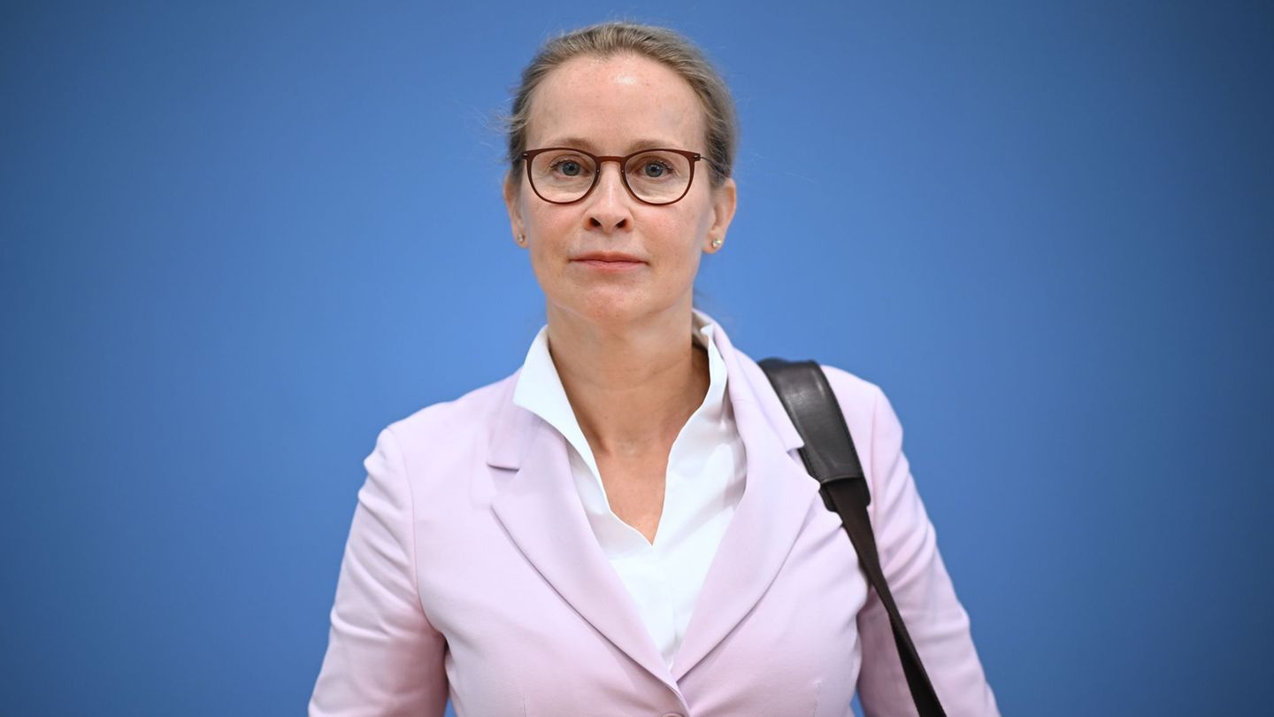 Federal Constitutional Court: Coalition is looking for a solution in the dispute over judge election
