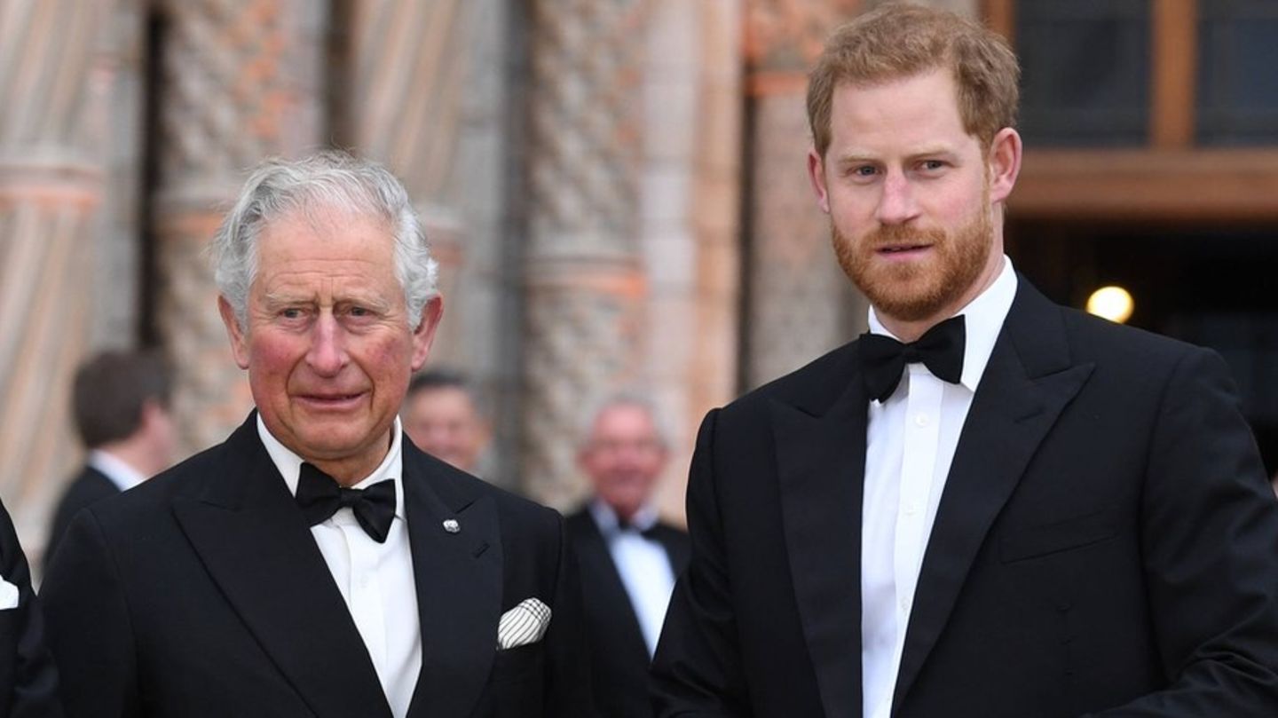Prince Harry and Charles: A meeting ensures rumors of reconciliation