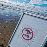 Cavallino, Italien II