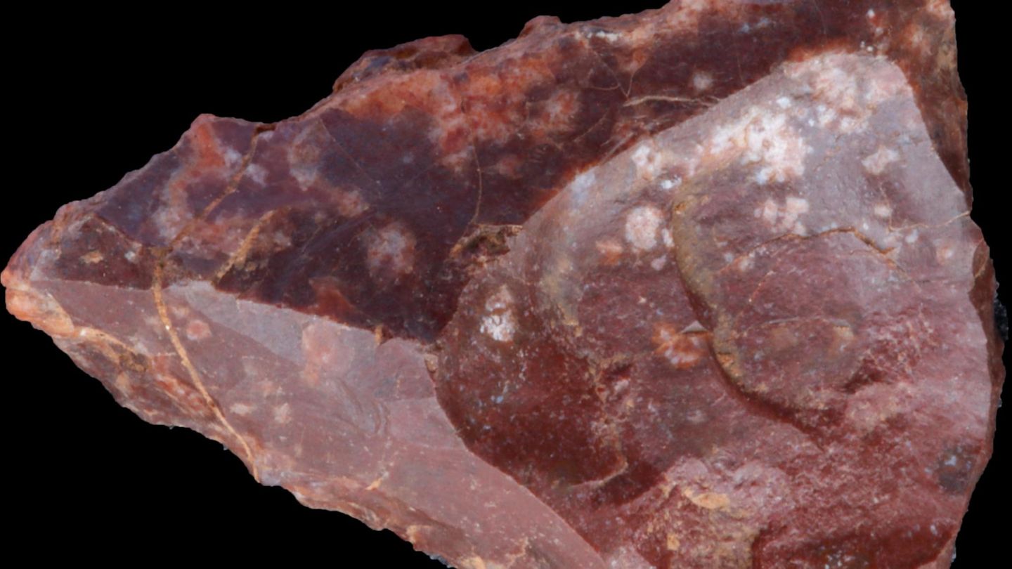 Steinzeitmensch Rotes Steinwerkzeug