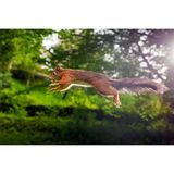 Lebensraum auf vielen Etagen gibt es im naturnahen Garten zwischen dichten Sträuchern und Bäumen – das wissen Igel, Vögel und Eichhörnchen zu schätzen. Brutplätze und Unterschlupfe sollte man beim Fotografieren nicht stören. Stattdessen bietet es sich an, ein mobiles Tarnzelt zu nutzen und natürliche Lücken und Nischen abzulichten. Unter einem dichten Blätterdach ist das Licht gegebenenfalls nicht ausreichend, und die Blätter können für einen Grünstich in den Bildern sorgen. Ein Blitzgerät kann in diesem Fall hilfreich sein.