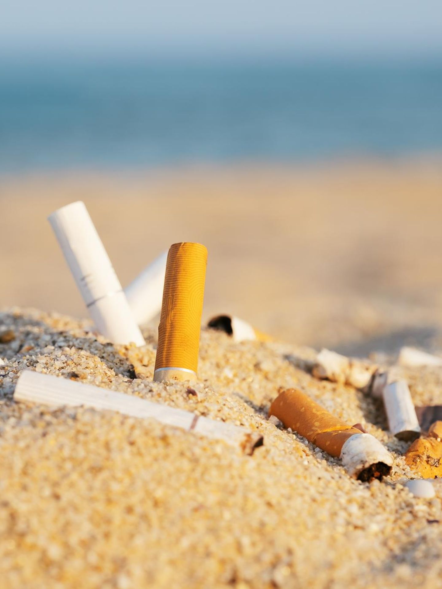 Achtung verboten!: Sandburgen, Kippen und Badehandtücher am Strand? Das kann teuer werden