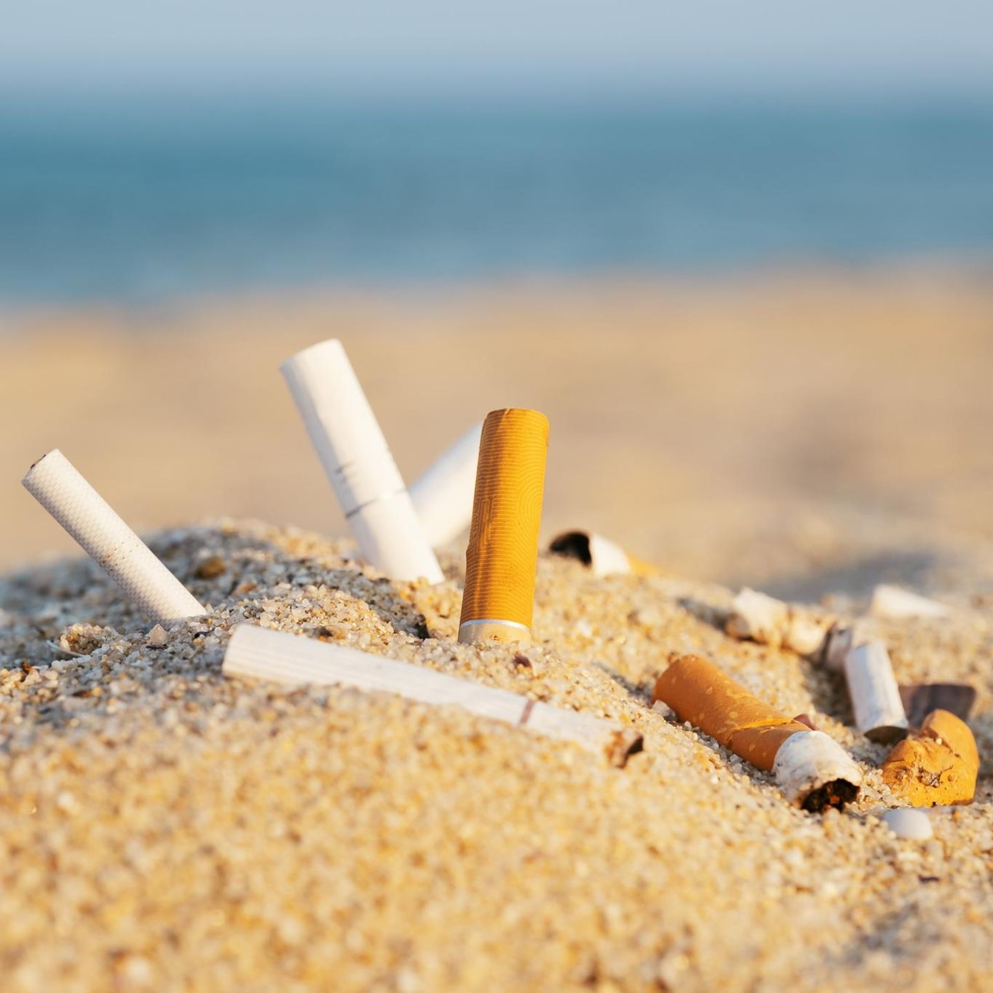Achtung verboten!: Sandburgen, Kippen und Badehandtücher am Strand? Das kann teuer werden