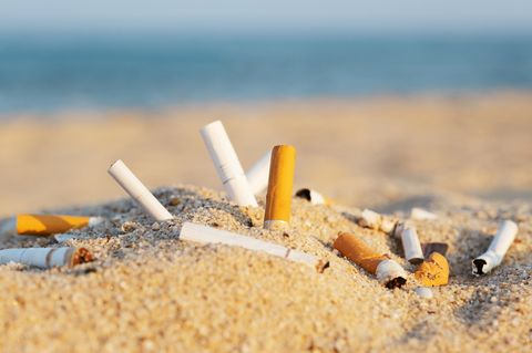 Achtung verboten!: Sandburgen, Kippen und Badehandtücher am Strand? Das kann teuer werden