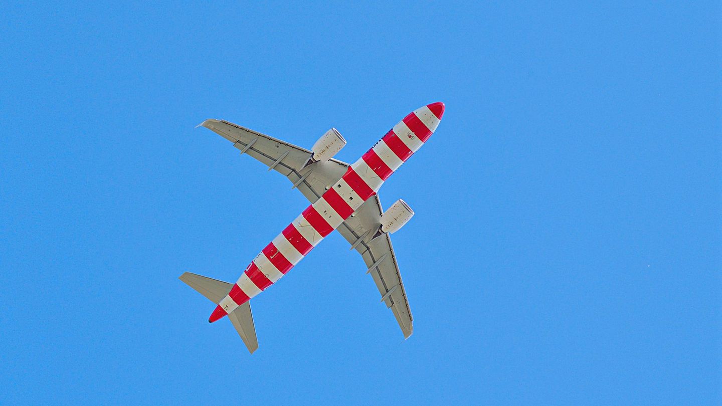 Condor 2,72 Punkte
