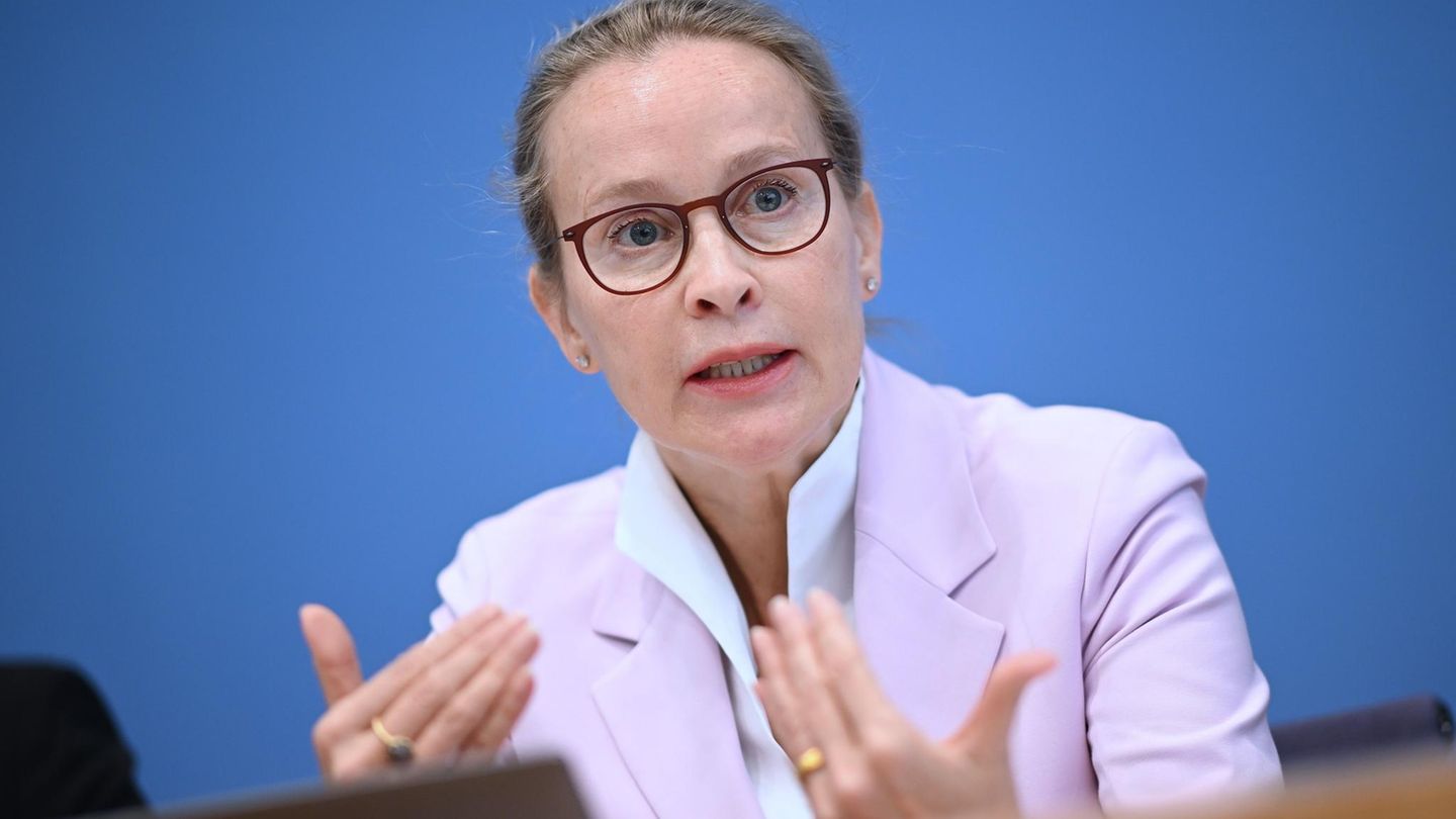 Frauke Brosius-Gersdorf calculates with her critics