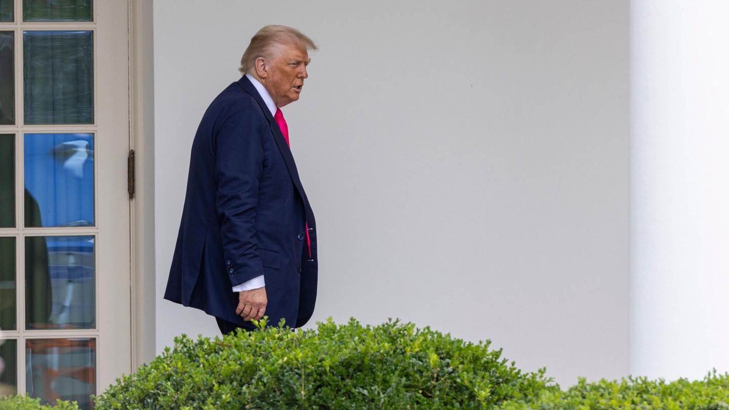 Donald Trump could immortalize Albert Einstein in “Heldengarten”