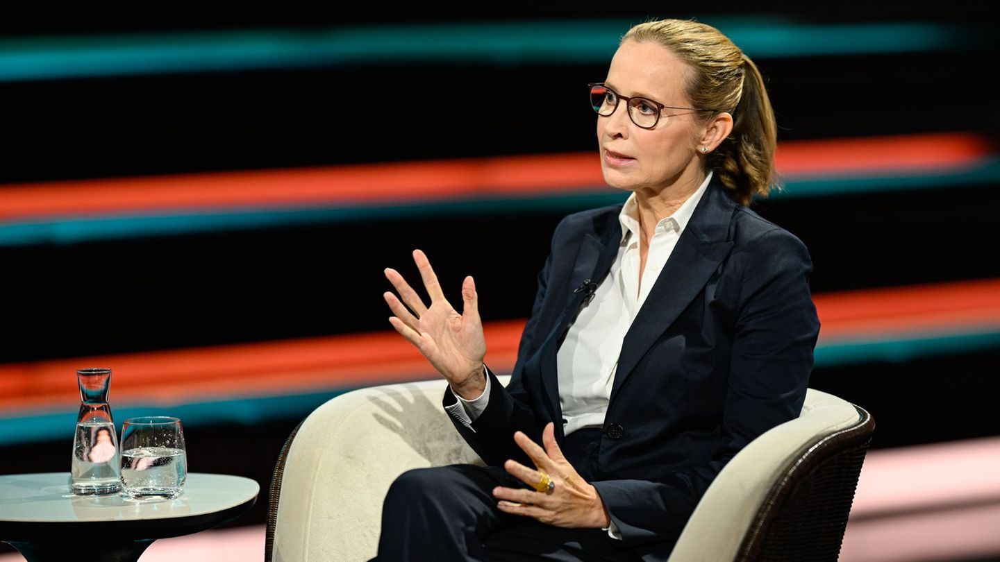 Federal Constitutional Court: Brosius-Gersdorf, despite criticism of candidacy