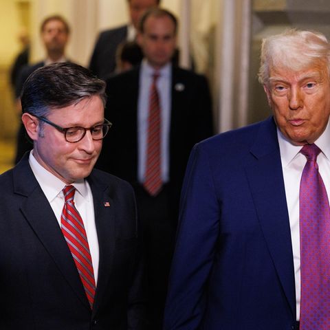 Donald Trump Mike Johnson