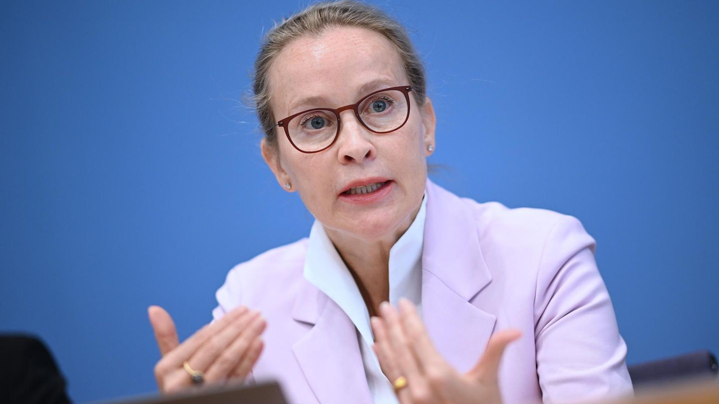 Frauke Brosius-Gersdorf: Expert see no plagiarism