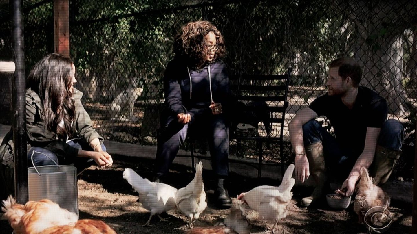 Prince Harry and Duchess Meghan: Oprah, the Sussexes and the “Duck emergency”