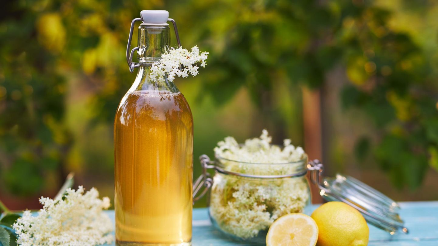 Elderflower şurubunu kendiniz yapın: adım adım