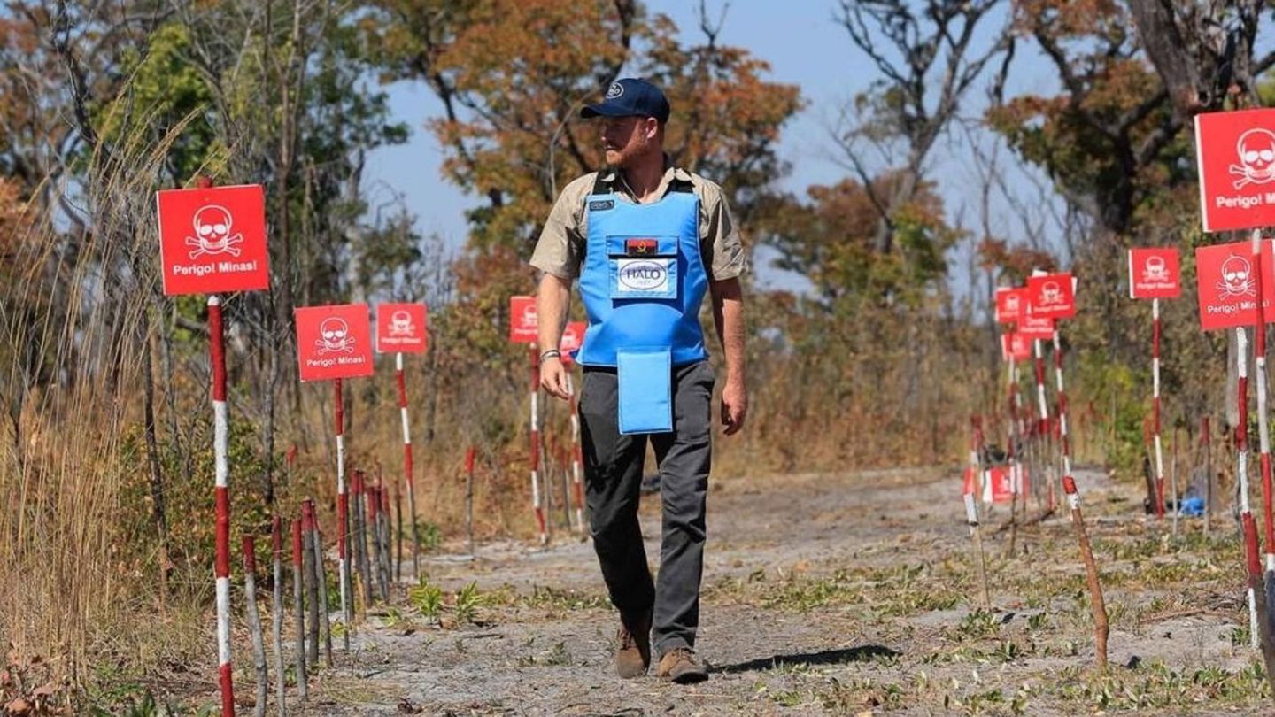 Prince Harry: He is walking on Diana’s traces in Angola