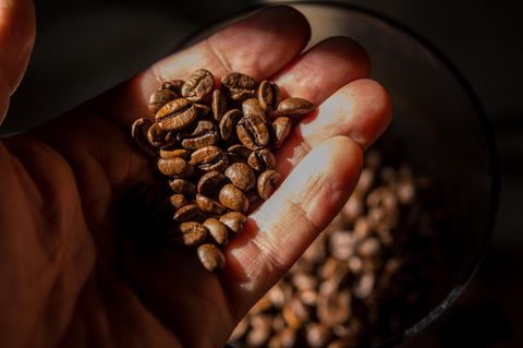 Kaffeebohnen – macht Donald Trump ihn jetzt noch teurer?