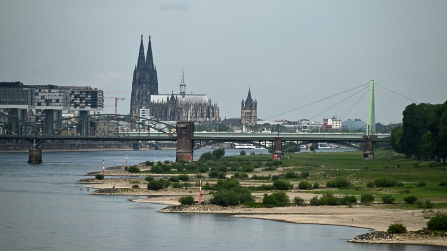 Rhein bei Niedrigwasser in Köln