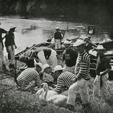 Schwanenzähler auf der Themse (schwarz-weiß)