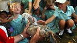 Schulkinder in Uniform streicheln einen jungen Schwan