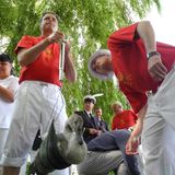 Ein Swan Upper wiegt einen Jungschwan