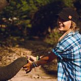 In vielen Teilen Asiens kommt es häufig zu Begegnungen zwischen Mensch und Elefant – und manch ein Tourist versucht, mit ihnen Fotos oder Selfies zu machen. Die Tiere mögen vielleicht zahm wirken, sind es aber nicht. Deshalb: besser lassen, so eine neue Untersuchung der Universität von Kalifornien: Die Tiere zu füttern, löse zudem "Bettelverhalten" aus. Außerdem würden die Elefanten Menschen gegenüber mutiger und dreister werden, mit teils tödlichen Folgen 