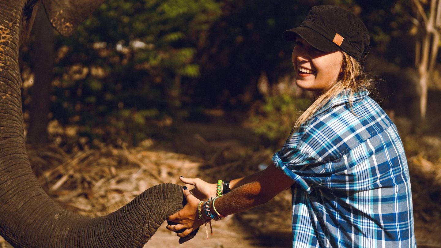 In vielen Teilen Asiens kommt es häufig zu Begegnungen zwischen Mensch und Elefant – und manch ein Tourist versucht, mit ihnen Fotos oder Selfies zu machen. Die Tiere mögen vielleicht zahm wirken, sind es aber nicht. Deshalb: besser lassen, so eine neue Untersuchung der Universität von Kalifornien: Die Tiere zu füttern, löse zudem "Bettelverhalten" aus. Außerdem würden die Elefanten Menschen gegenüber mutiger und dreister werden, mit teils tödlichen Folgen 