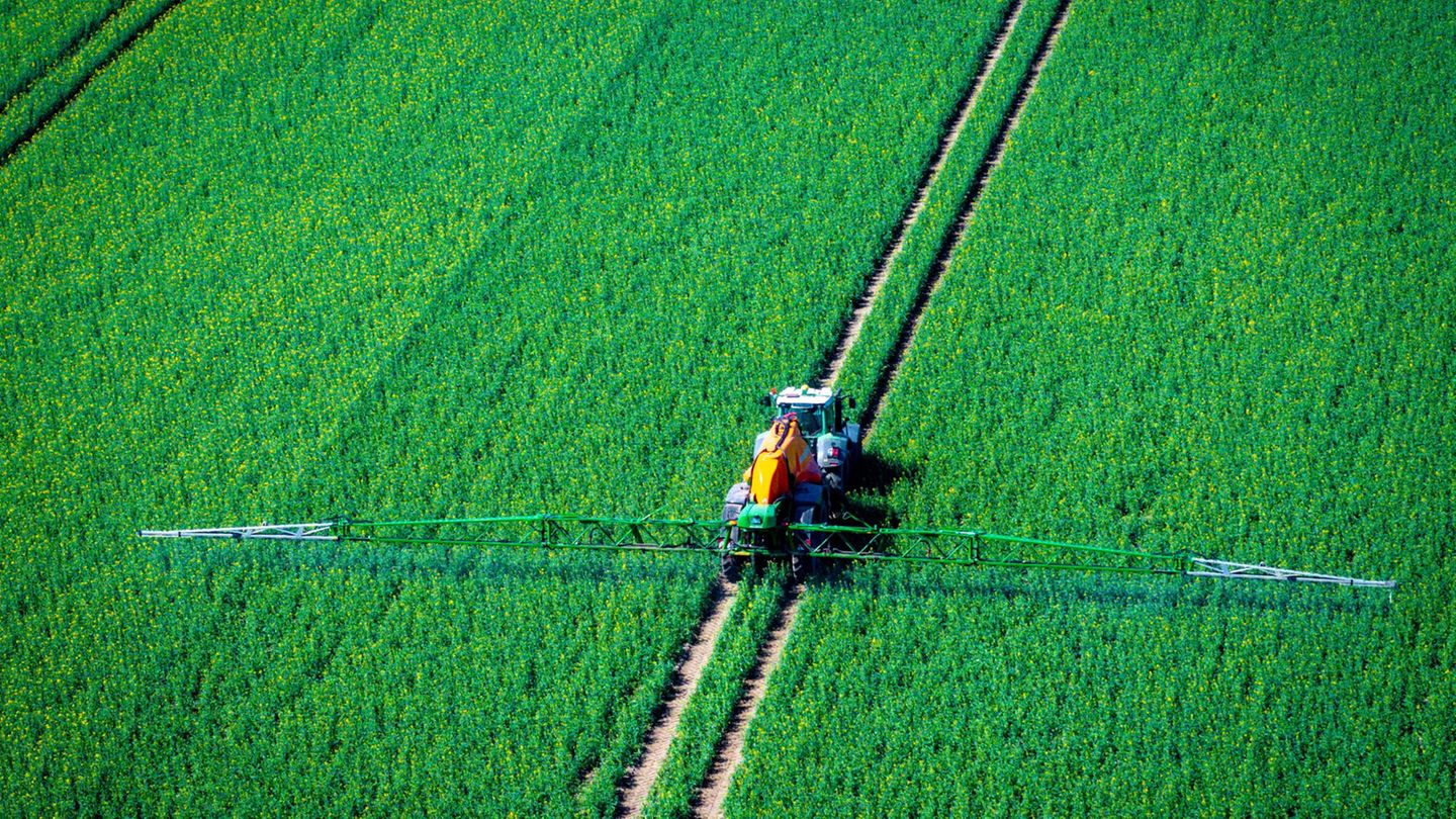Landwirtschaft-Zahl-der-Diebst-hle-von-Pflanzenschutzmitteln-in-MV-steigt